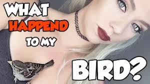 :( WHAT HAPPENDED TO MY BIRD? WHERE IS MY RESCUED SPARROW?