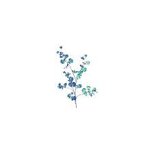 Polyvore Vintage Flowers Wallpaper Flower Aesthetic Flower Illustration