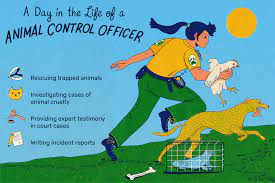 Animal Control Officer Job Description: Salary, Skills, & More