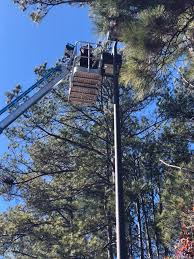 Read more electrician athens ga. 25 Best Electrician Near Athens Georgia Facebook Last Updated May 2021
