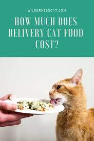 Wie Viel Kostet Nomnomnow Katzenfutter Pawsome Pet Products Katzenfutter Kostet Nomnomnow Pawsome Pet Products Katzen Futter Katzenfutter Katzen