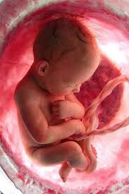 Pin By Raj Arts On Scenery Paintings In 2020 Baby Sleep Problems Pregnant Baby Sleep