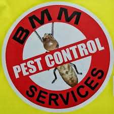 Disinfecting and pest control services (7342). Bmm Pest Control Services Home Facebook