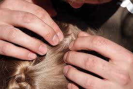Your answer is appreciated as i don't have a family doctor. What Is Scalp Acne How To Treat Pimples On Your Scalp Allure