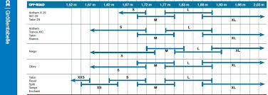 Giant Frame Size Chart Flowerxpict Co