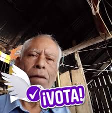 Alguien sabe que árbol es que me diga por favor su nombre