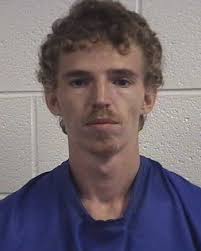 Reidsville man shoots, injures roommate, deputies say