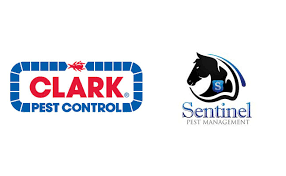 There's plenty to worry about when you're ready to purchase a home. Clark Pest Control Purchases Sentinel Pest Management Pest Management Professional