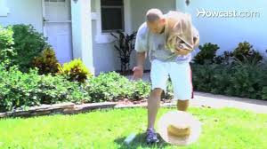 Check spelling or type a new query. How To Compost Grass Clippings Smallyardbigdreams Com