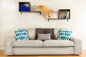 Modern Pet Furniture Accessories For Design Lovers 5.q:whats the max weight a mechanism can hold? decoist
