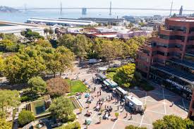 Image result for Sutera levis