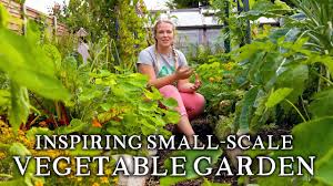 Nobody plants a vegetable garden expecting poor yield. Massively Productive Small Scale Suburban Vegetable Garden Backyard Self Sufficiency On A Budget Youtube