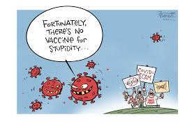 La mise à disposition de vaccins contre le covid aux populations est le principal enjeu sanitaire, mais. Anti Vaxxers Vs Reality Kqed