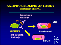 The lupus anticoagulant tests are blood clotting tests. Pin On Brain And Body
