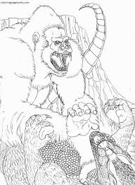 4 jonas brothers coloring pages. Y A3gkwlhrow8m