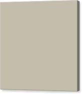 Shiitake l and stick paint sample rugh design. Sherwin Williams Trending Colors Of 2019 Shiitake Light Beige Brown Sw 9173 Solid Color Fleece Blanket For Sale By Melissa Fague