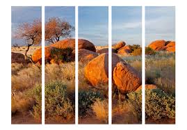 Check spelling or type a new query. Dekorativer Paravent African Landscape Namibia Ii Room Dividers Paravents