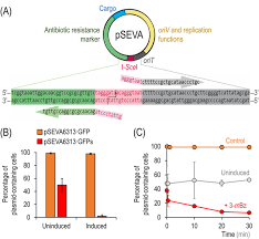We did not find results for: Synthetic Control Of Plasmid Replication Enables Target And Self Curing Of Vectors And Expedites Genome Engineering Of I Pseudomonas Putida I Abstract Europe Pmc
