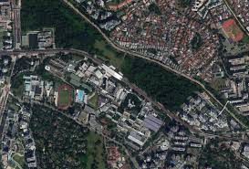 See 550,167 tripadvisor traveller reviews of 13,695 singapore restaurants and search by cuisine, price, location, and more. Before After Pictures Show How Deforestation Has Changed Singapore Laptrinhx News