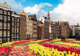 Check spelling or type a new query. 31 Fotos De Amsterdam