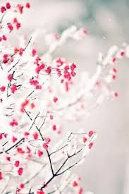 Download Wallpaper Whatsapp Iphone Cute Hd Whatsapp Anime Quote Girly Cartoon Iphone 6 Flower Space Logo Paris Epic Emoji Black And White Deadpool Dragon Unicorn Blue Pink Purple Red Green Lock Follow the vibe and change your wallpaper every day!