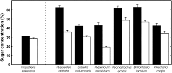 Image result for Virectaria major