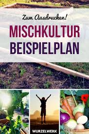 Hol Dir Deinen Gemusegarten Beispielplan Zum Ausdrucken Diesen Anbauplan Kannst Du 1 1 In Deinem Garten Umsetzen O Pflanzplan Selbstversorger Garten Pflanzen