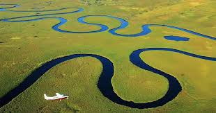 Okavango Delta, Botswana: Keajaiban Alam di Afrika Selatan - Treni