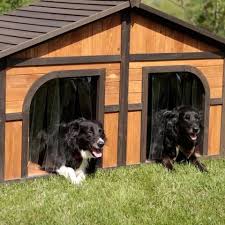 Double Entrance Dog House Provideds A Large Dry Space For A Large Dog Or Two Medium Dogs When The Sun Is J Double Dog House Outdoor Dog House Large Dog House