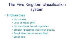 Binomial Nomenclature And The Future Of Classification Ppt Download