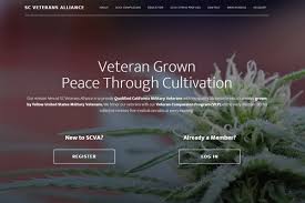 The vsa is a santa cruz based non profit organization that teaches, coaches, and supports veterans to surf and be respected members of their communities. Portfolio Iversen Design