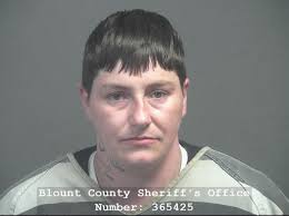 HARRIS, BRIANNA ELAINE Charges: DRUG/RECOVERY COURT SANCTIONS DRUG/RECOVERY  COURT SANCTIONS This information and more is available  https://apps.myocv.com/share/a95737804