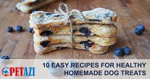 All the ingredients that i choose for this recipe. 10 Easy Recipes Of Healthy Homemade Dog Treats Petazi
