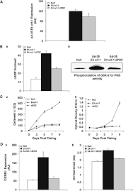 Alle sendungen bei orf1 heute im überblick. Human Adenovirus Ad 36 Induces Adipogenesis Via Its E4 Orf 1 Gene International Journal Of Obesity
