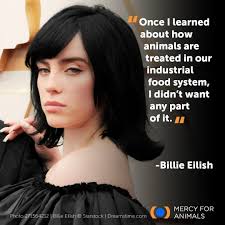 Join us in sending birthday wishes to Billie Eilish! Do you wish more  celebs would use their platform to raise awareness about animal issues?  Billie is not only an iconic singer/songwriter but
