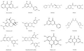Paul cheah & associates (exh.b in plaintiffs affidavit in support). Ijms Free Full Text Molecular Action Of Polyphenols In Leukaemia And Their Therapeutic Potential Html