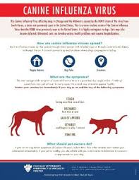 The average cost for cat vaccinations ranges from $45 to $85 and up in the first year, and from $10 to $35 and up per they trimmed their nails for free. How Infographics Boost Veterinary Practices Public Relations And Marketing