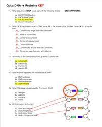 8 3 dna replication proprofs quiz. Dna Structure And Function Quiz Dna Quiz Dna Lesson Plans Dna Activities