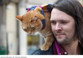 Amazon.com: Ein Geschenk von Bob: 9783404608461: Books