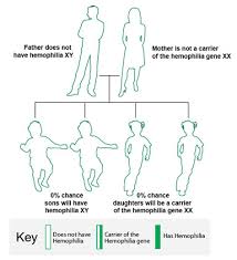 How Hemophilia Is Inherited Cdc