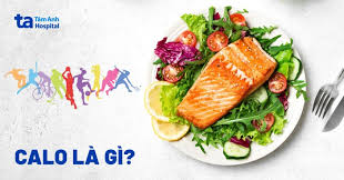 Calo là gì? Vai trò và tác dụng của calo với cơ thể con người