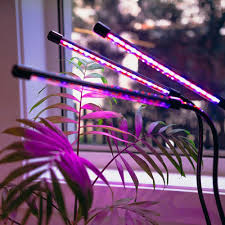 Maybe you would like to learn more about one of these? Indoor Plant Grow Light Australia Premium Plant Led Lights Urban Plant Growers