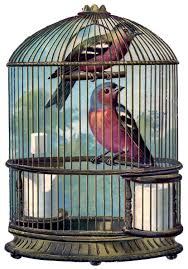 Bird In A Gilded Cage Song Vintage Graphic Fabulous Bird Cage With Birds Vintage Birds Vintage Images Graphics Fairy