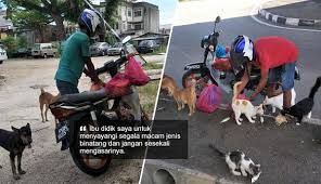Gambar mewarnai anna dan elsa frozen. Walau Demam Pun Saya Akan Datang Beri Kucing Anjing Jalanan Ini Makan The Reporter