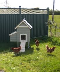 National Crafts Design Fair Chic Hens Hen House Duck House Bird Boxes