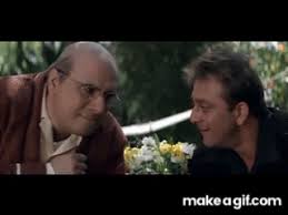 Munna Bhai Mbbs Gif Watch The Latest Episodes Of Popular Bbo Show Munna Bhai Mbbs Through Yupptv Dibarisa Munna bhai was first introduced in the 2003 film munna bhai m.b.b.s. dibarisa