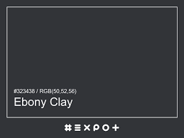 Ebony Clay Color Information