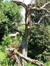 Check spelling or type a new query. Https Kuenzelsau De Site Kuenzelsau Get Documents E1689978833 Kuenzelsau Dateien 01 Rathausundbuergertheke C3 96ffentliche 20bekanntmachungen C3 96ffentliche 20bekanntmachung 20mustang Areal Anlage2 2 Sap Pdf