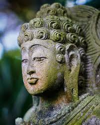 Pedro Hunter (@pedrohunterfotos) • Instagram photos and videos