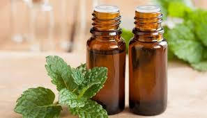 Peppermint oil could be enough to keep mosquitoes from biting you, so there is no need to combine it with other ingredients in order to make it effective for repelling insects. Does Peppermint Oil Kill Spiders